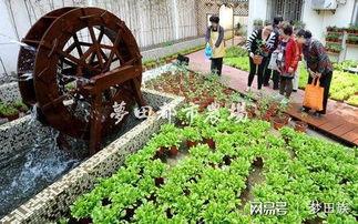 欧美农场布置原则图片,高效与美观的完美融合